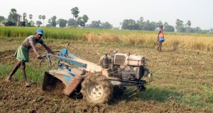 Farm Workers in Bihar, Home of the Mushar people